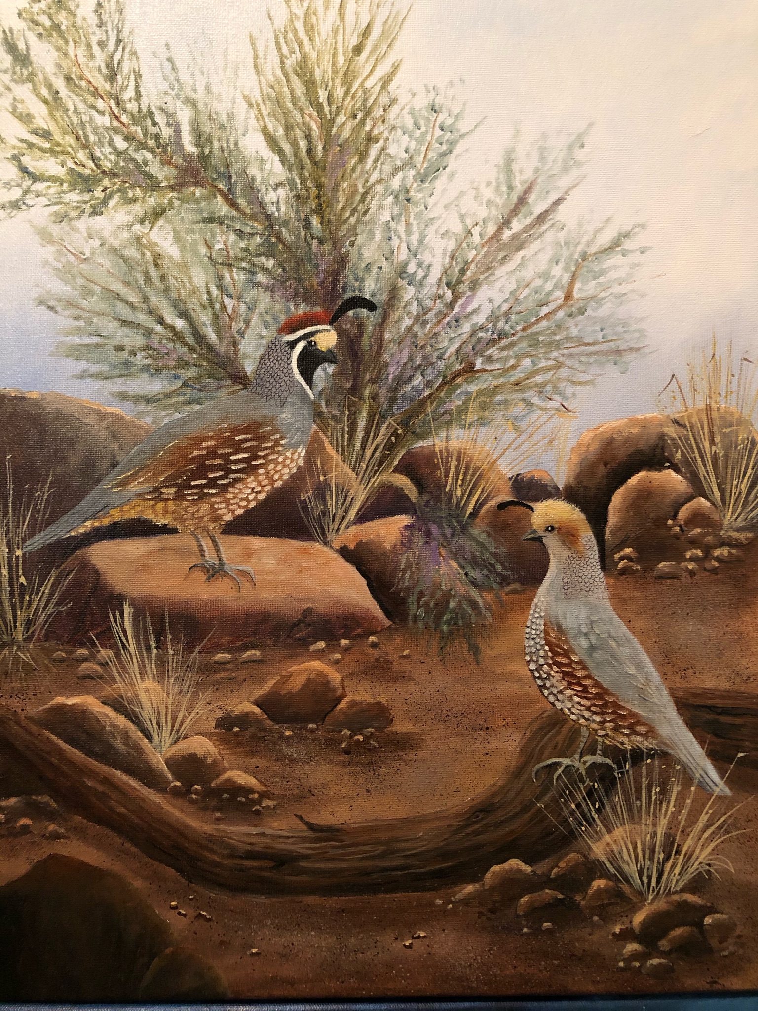 Quail Mates 16x20 Oil (sold)